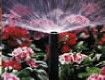 A-ABCO Lawn Sprinklers